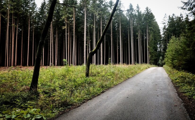 Rybník Roubíček, Hájek a okolí Žirovnice 2022